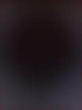 ShanteySkies